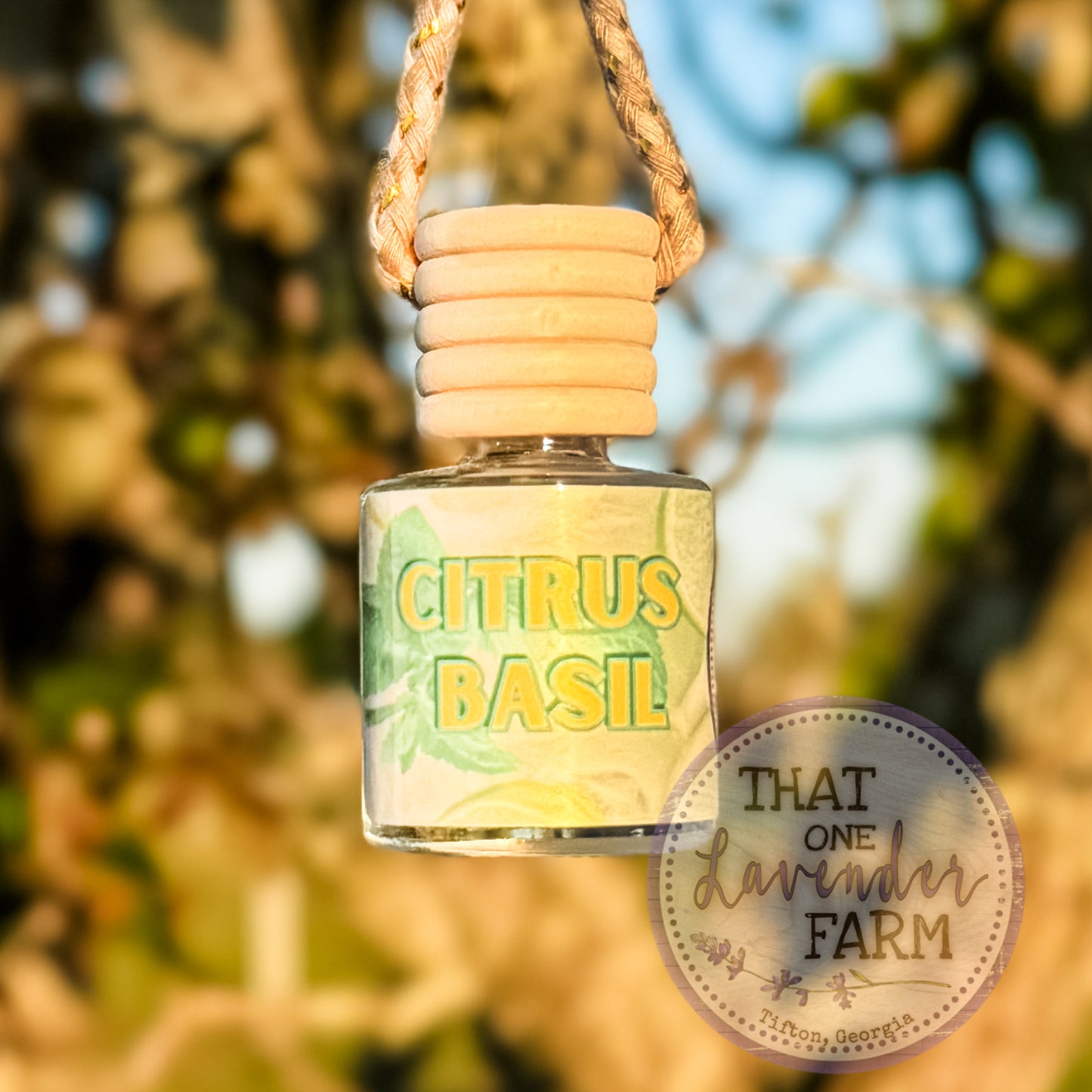 Hanging Car Diffusers