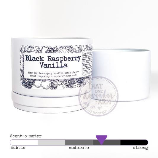 Black Raspberry Vanilla Soy Blend Candle