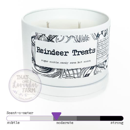 Reindeer Treats Soy Blend Candle